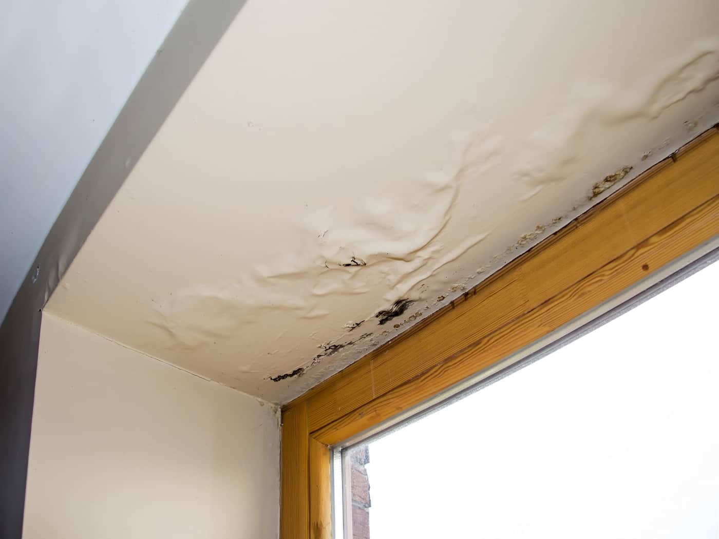 Commercial Roof Leak Repair