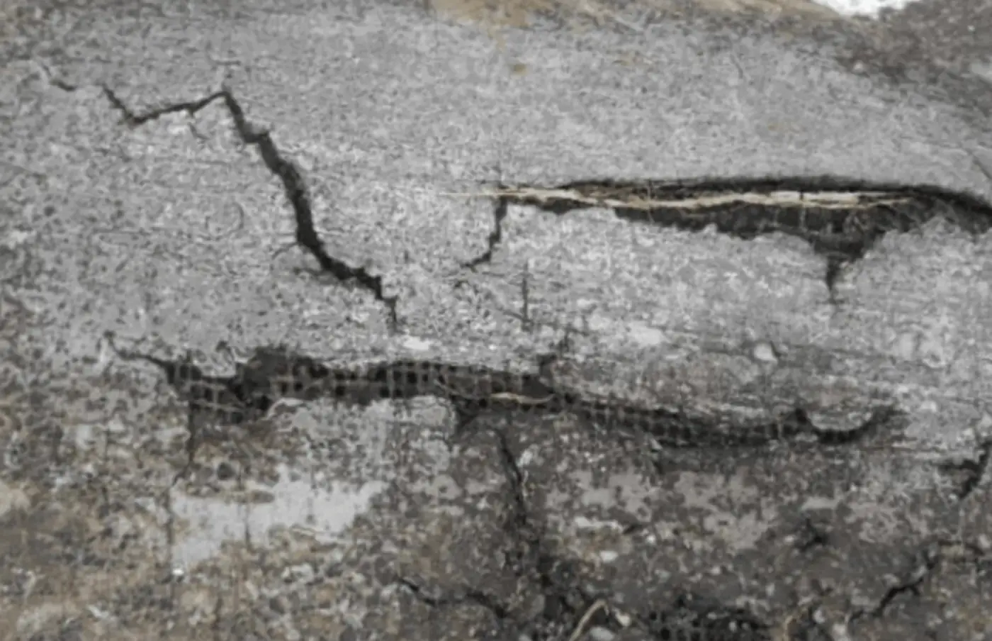 Commercial Roof Repair Services